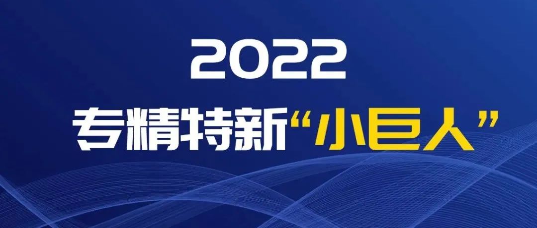 2022專精特新小巨人.jpg